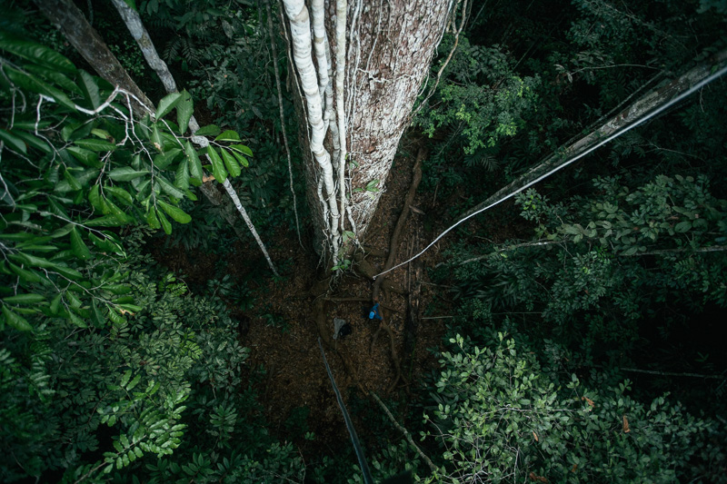 Photo A local guide shows the catch of the day which he has flipped up onto the boat whilst out hunting caymans at night on a tributary of the Amazon River. Right, rappeling up a 50m high tree in the Amazon rainforest.  