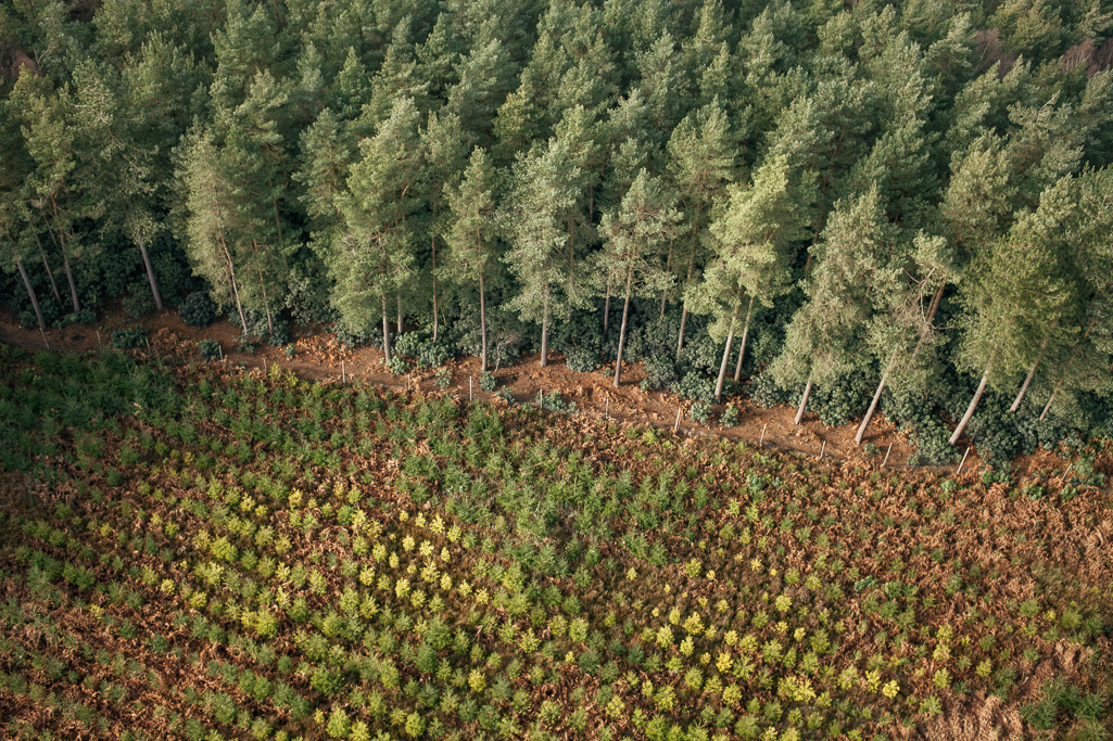 Photo Aerial views of the family farm. Forestry plantations, new and old.