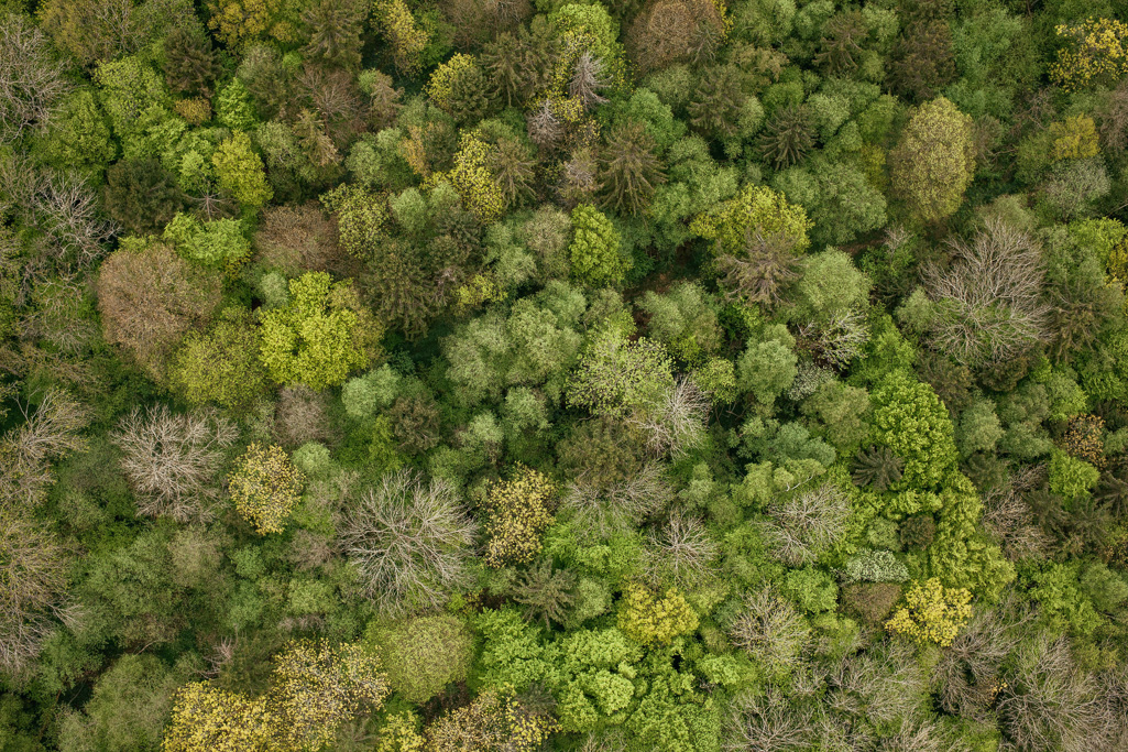 Photo Aerial views of the family farm. 