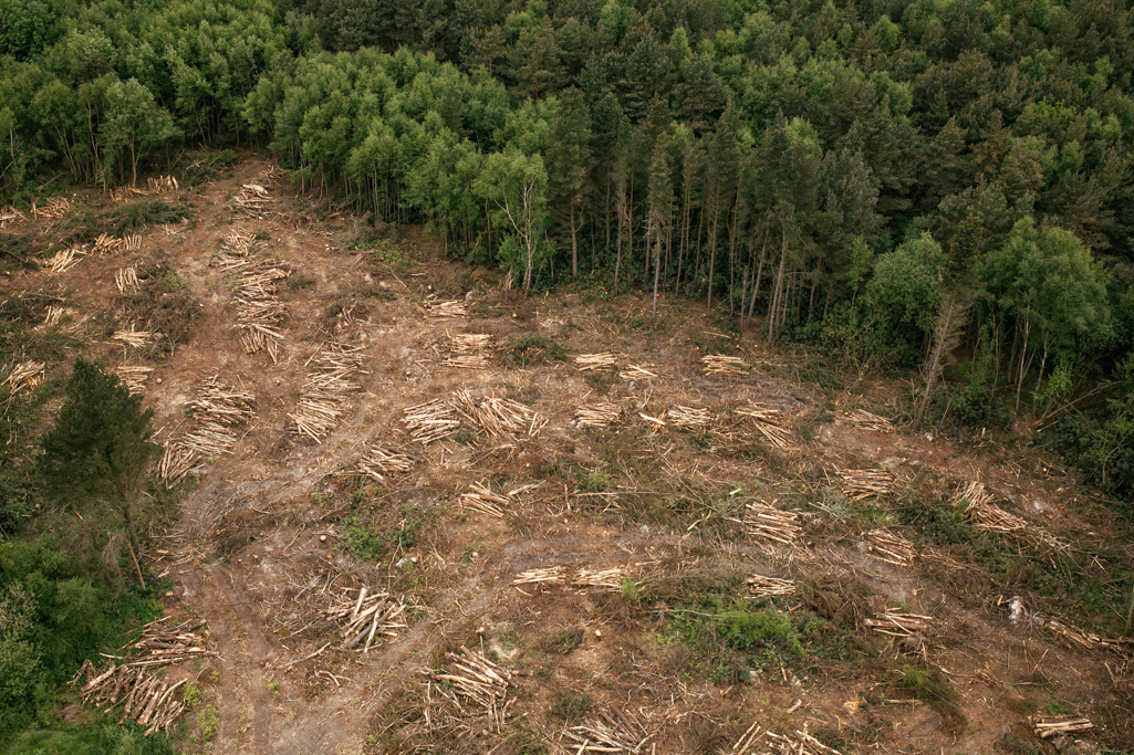 Photo Aerial views of the family farm. Processed timber.