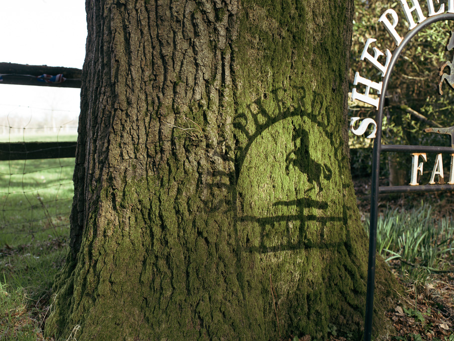 Photo Anatomy of an English country estate. Shepherd