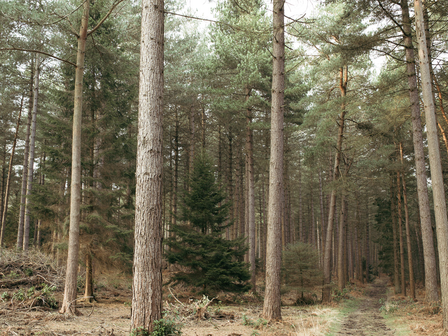 Photo Anatomy of an English country estate. 
